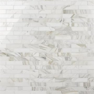 Calacatta Gold Polished 2x8