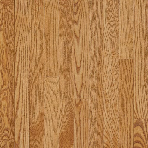 Westchester White Oak Solid in Spice 2-1/4"