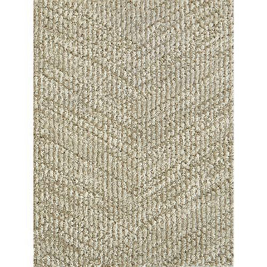 Circuit in Khaki Carpet