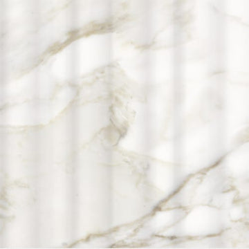 Calacatta Dolce 12x36 Alto Rectified