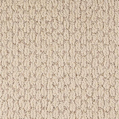 Capella in Camel Carpet