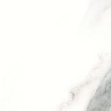 Calacatta 6x12 Pressed Glossy