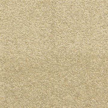 Driftwood
