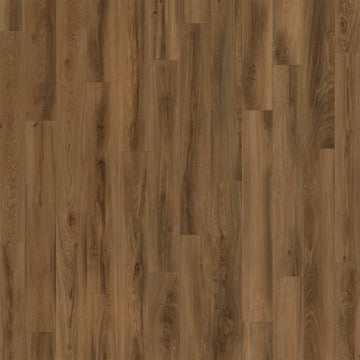Everglade / 7 x 48