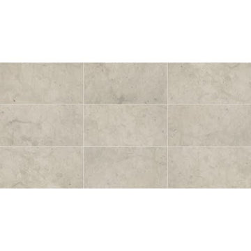 Volcanic Gray 12x24 Polished