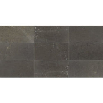 Antico Scuro 12x12 Polished