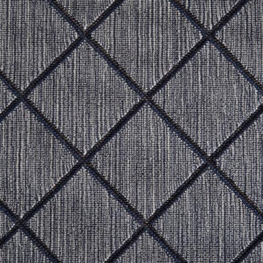 Darwin in Denim Carpet