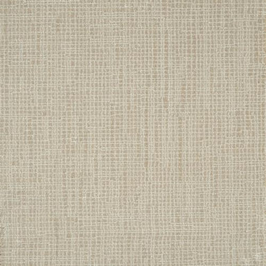 Divine in Creme Carpet