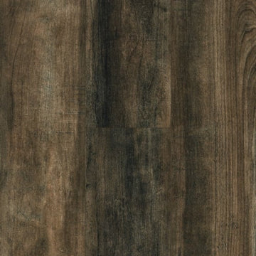 Shady Location 8.03"