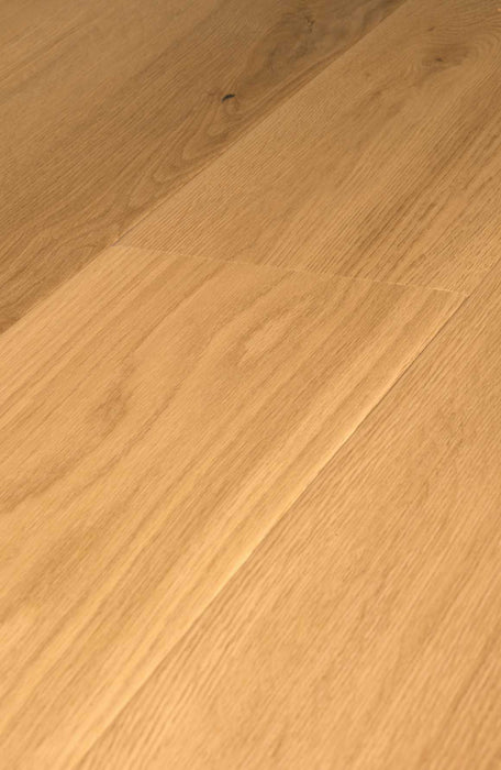 Daybreak Oak