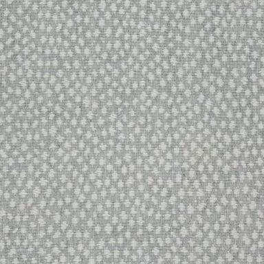 Ditto in Chrome Carpet