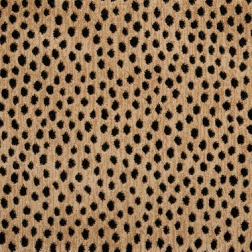 Dottie in Bronze Carpet