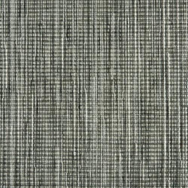 Enlighten in Coal Carpet