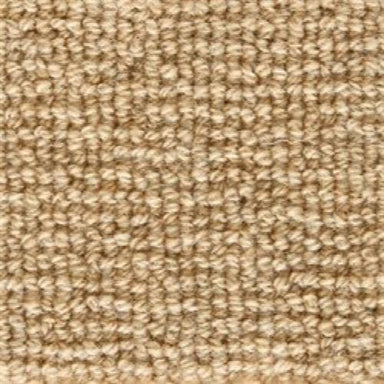 Forester in Beige Carpet