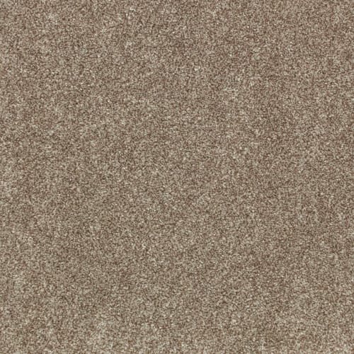 Industrial Tones in Hearthstone Carpet
