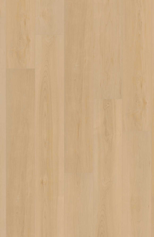 Geneva Maple