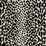 Gotham Cheetah in Onyx Carpet