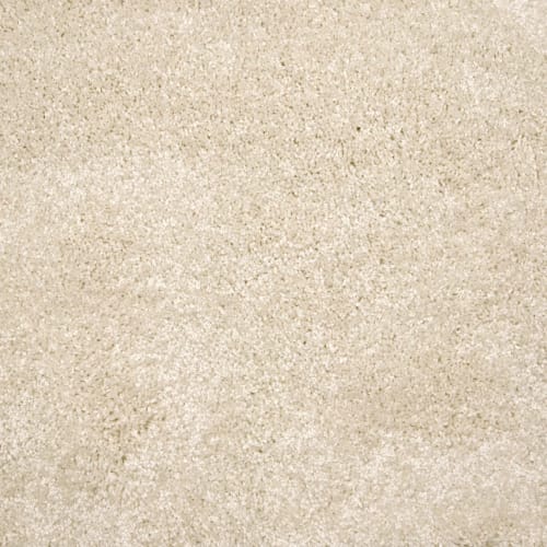 Grail in Cream Carpet