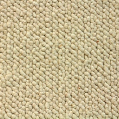 Hugo in Cream Carpet