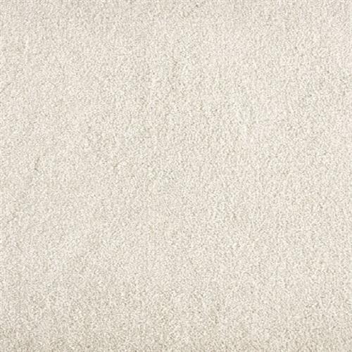 Jolly in Cloud Carpet