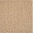 Keystone in Beige Beach Carpet