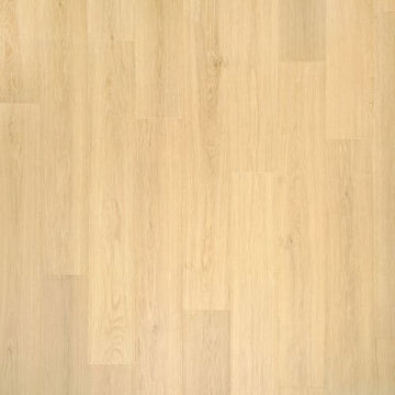 Glazed Ginger Oak