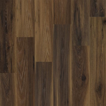 Hickory Grove / 9 x 60
