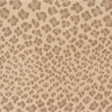 Linus in Beach Carpet