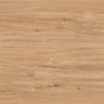 Champagne Oak
