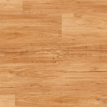 Looselay Tasmanian Wattle