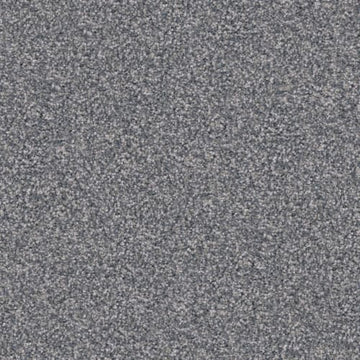 Pumi