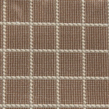 Leading Lines in Autumn Carpet