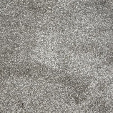 Merry in Aluminum Carpet