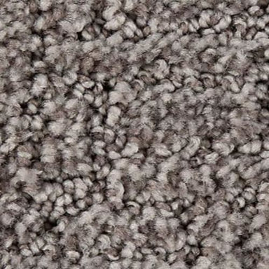 Stylish Edge in Truffle Carpet