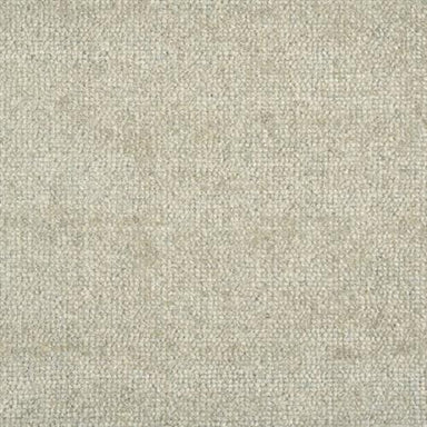 Minka in Cloud Carpet