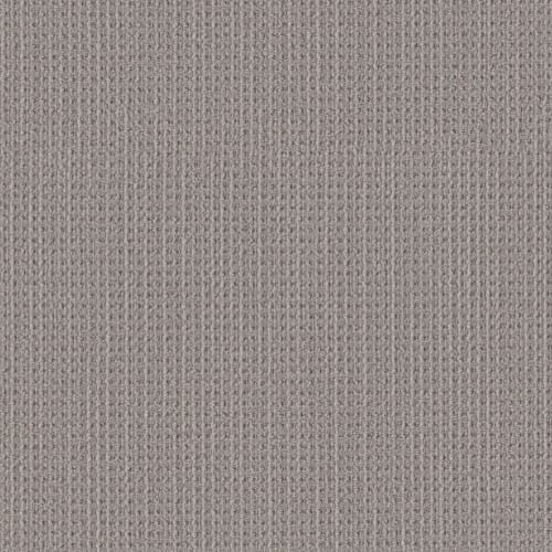 Finely Detailed in Essential Gray Carpet