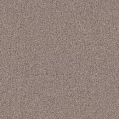 Studio Set in Kindling Carpet