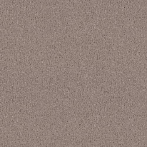 Studio Set in Kindling Carpet