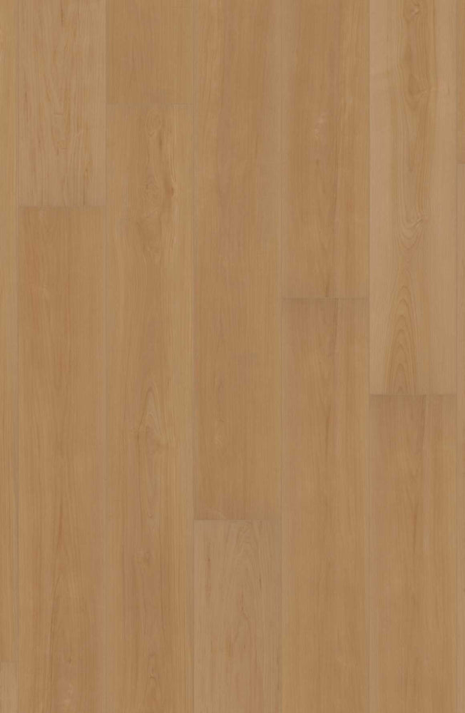 Comfort in Madison Maple
