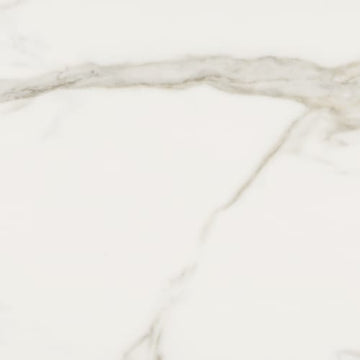 Calacatta Oro 24x48 Rect Polished