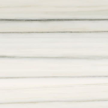 Zebrino 12x24 Rect Polished