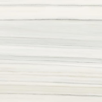 Zebrino 24x48 Rect Polished