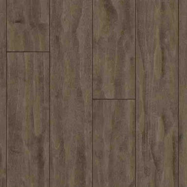 SolidClassic - Yellow Birch in Caicos - 4 In Hardwood