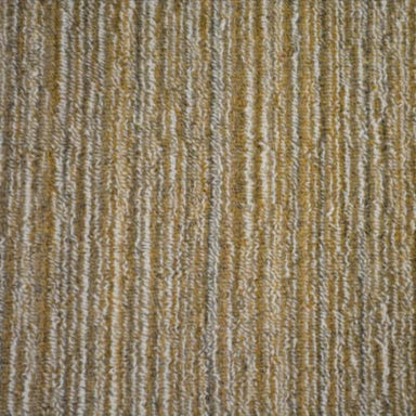 Nottingham in Burnt Orange Carpet