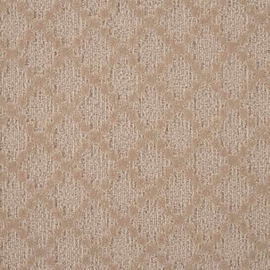 Felicity 2 in Brush Carpet