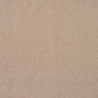 Majesty 2 in Brush Carpet