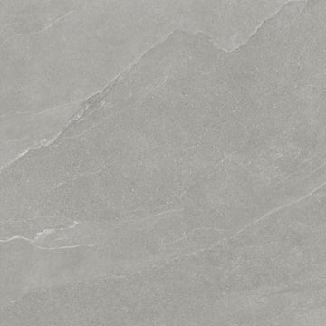 Palladium 24x48 Rectified Matte