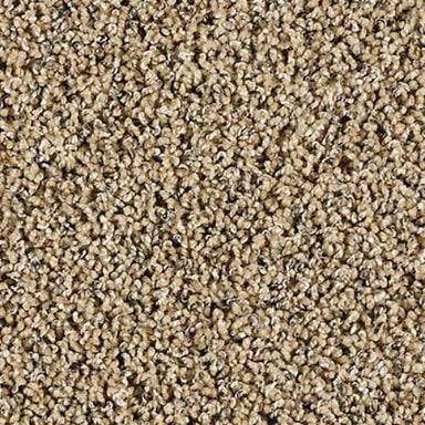 Exhilarating in Boulder Beige Carpet