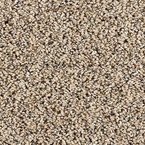 Restorative I in Boulder Beige Carpet