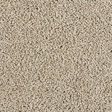 Zenith in Angora Carpet